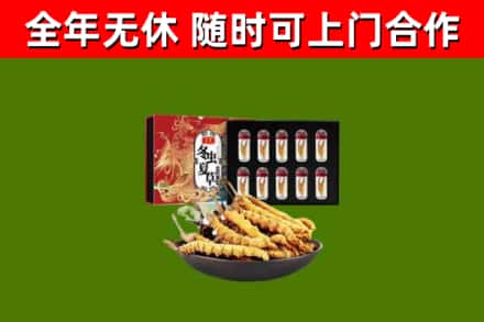天峨烟酒回收冬虫夏草礼盒.jpg