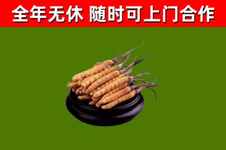天峨烟酒回收冬虫夏草.jpg